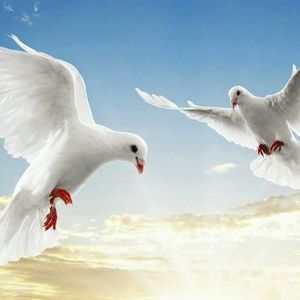 Meet your Posher, Vicky